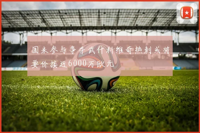 国米参与争夺武什科维奇热刺或将要价接近6000万欧元